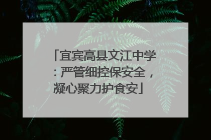 宜宾高县文江中学：严管细控保安全，凝心聚力护食安