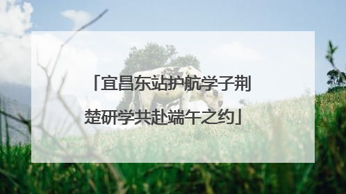 宜昌东站护航学子荆楚研学共赴端午之约