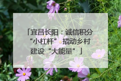 宜昌长阳：诚信积分“小杠杆” 撬动乡村建设“大能量”
