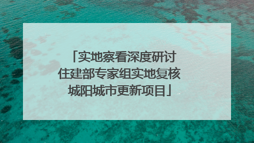 实地察看深度研讨 住建部专家组实地复核城阳城市更新项目