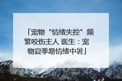 宠物“情绪失控”频繁咬伤主人 医生：宠物夏季易情绪中暑