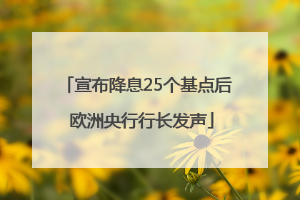 宣布降息25个基点后 欧洲央行行长发声