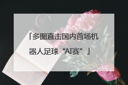 多图直击国内首场机器人足球“AI赛”