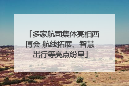 多家航司集体亮相西博会 航线拓展、智慧出行等亮点纷呈