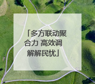 多方联动聚合力 高效调解解民忧