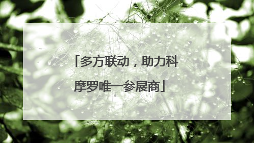 多方联动，助力科摩罗唯一参展商