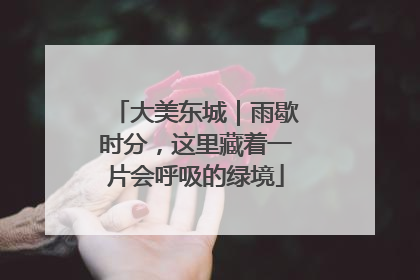 大美东城｜雨歇时分，这里藏着一片会呼吸的绿境