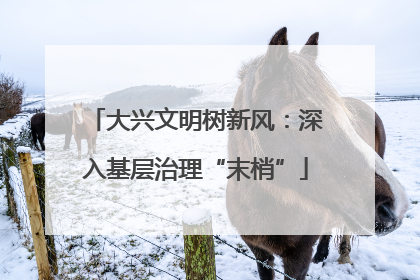 大兴文明树新风：深入基层治理“末梢”