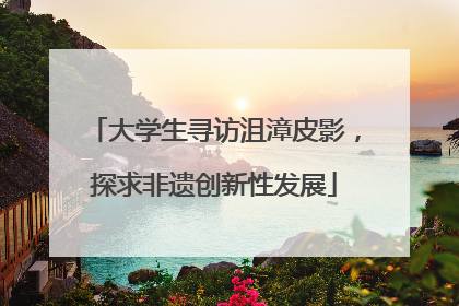 大学生寻访沮漳皮影，探求非遗创新性发展