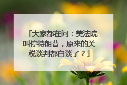 大家都在问：美法院叫停特朗普，原来的关税谈判都白谈了？