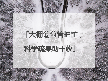 大棚葡萄管护忙，科学疏果助丰收