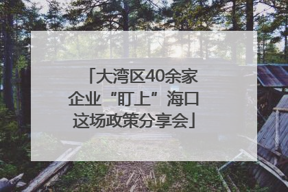 大湾区40余家企业“盯上”海口这场政策分享会