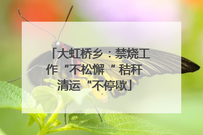 大虹桥乡：禁烧工作“不松懈“ 秸秆清运“不停歇