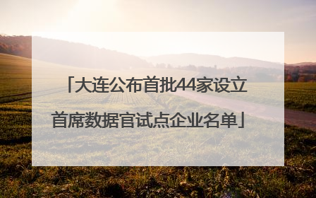 大连公布首批44家设立首席数据官试点企业名单
