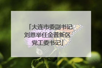 大连市委副书记刘恩举任金普新区党工委书记