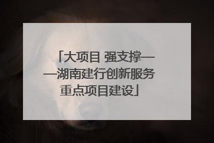 大项目 强支撑——湖南建行创新服务重点项目建设