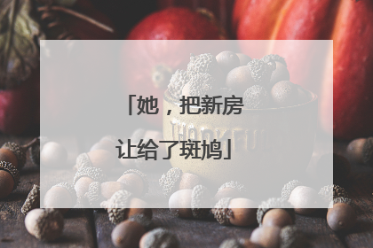 她，把新房让给了斑鸠
