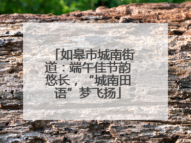 如皋市城南街道：端午佳节韵悠长，“城南田语”梦飞扬