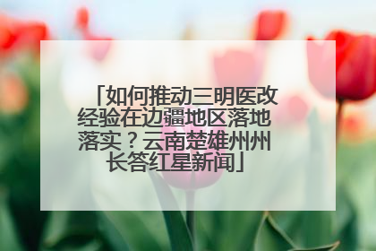 如何推动三明医改经验在边疆地区落地落实？云南楚雄州州长答红星新闻
