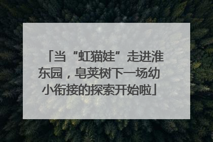 当“虹猫娃”走进淮东园，皂荚树下一场幼小衔接的探索开始啦