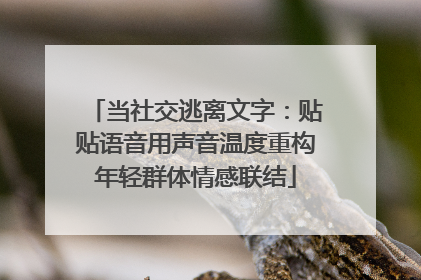 当社交逃离文字：贴贴语音用声音温度重构年轻群体情感联结