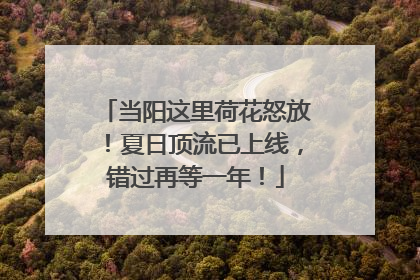 当阳这里荷花怒放！夏日顶流已上线，错过再等一年！