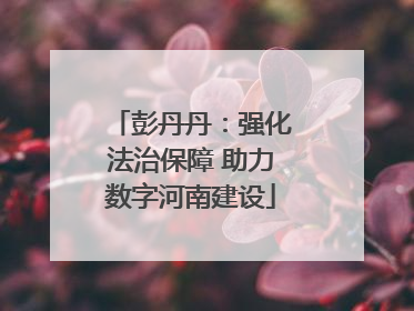 彭丹丹：强化法治保障 助力数字河南建设