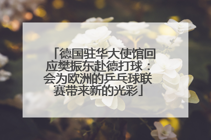 德国驻华大使馆回应樊振东赴德打球：会为欧洲的乒乓球联赛带来新的光彩