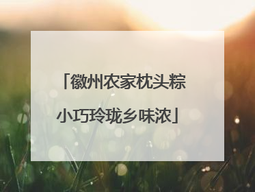 徽州农家枕头粽 小巧玲珑乡味浓