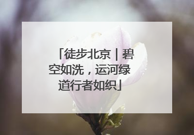徒步北京｜碧空如洗，运河绿道行者如织