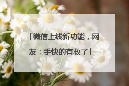 微信上线新功能，网友：手快的有救了