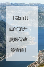 微山县西平镇开展医保政策宣传