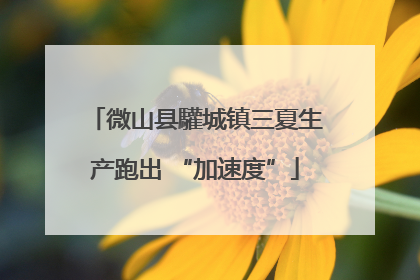 微山县驩城镇三夏生产跑出 “加速度”