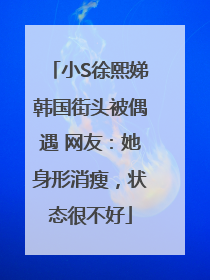 小S徐熙娣韩国街头被偶遇 网友：她身形消瘦，状态很不好