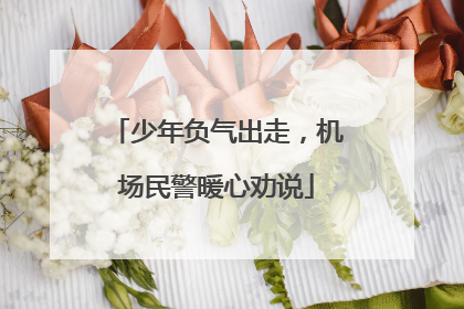 少年负气出走，机场民警暖心劝说