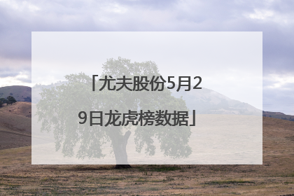 尤夫股份5月29日龙虎榜数据