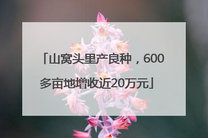 山窝头里产良种，600多亩地增收近20万元