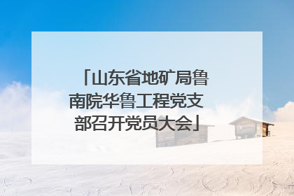 山东省地矿局鲁南院华鲁工程党支部召开党员大会