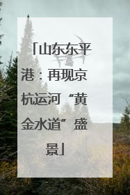山东东平港：再现京杭运河“黄金水道”盛景
