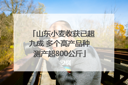 山东小麦收获已超九成 多个高产品种测产超800公斤