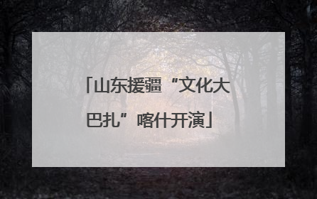 山东援疆“文化大巴扎”喀什开演