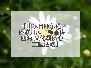 山东日照东港区侨联开展“粽香传四海 文化凝侨心”主题活动