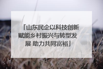 山东民企以科技创新赋能乡村振兴与转型发展 助力共同富裕