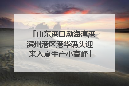 山东港口渤海湾港滨州港区港华码头迎来入夏生产小高峰