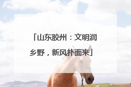 山东胶州：文明润乡野，新风扑面来