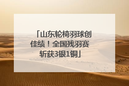 山东轮椅羽球创佳绩！全国残羽赛斩获3银1铜