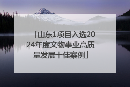 山东1项目入选2024年度文物事业高质量发展十佳案例