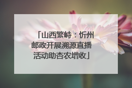山西繁峙：忻州邮政开展溯源直播活动助杏农增收