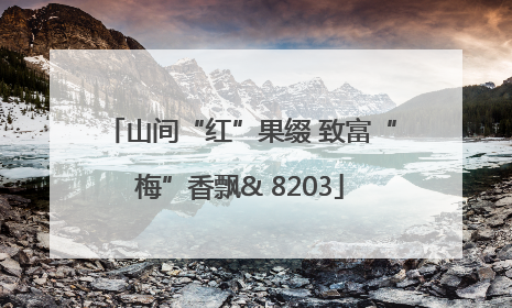 山间“红”果缀 致富“梅”香飘& 8203