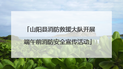 山阳县消防救援大队开展端午前消防安全宣传活动